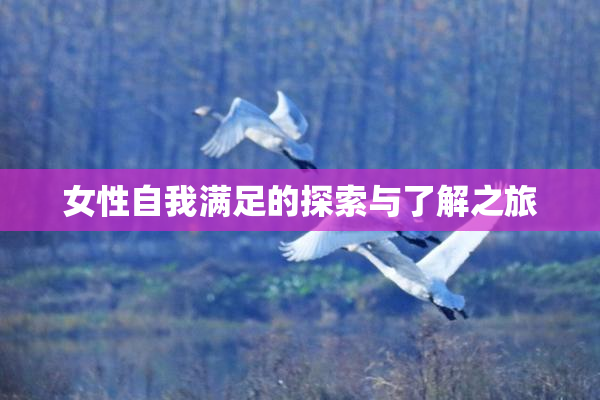 女性自我满足的探索与了解之旅