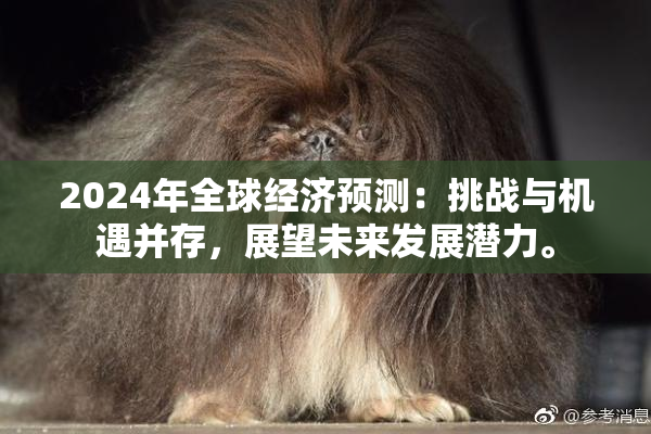 2024年全球经济预测：挑战与机遇并存，展望未来发展潜力。
