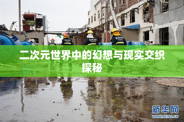 二次元世界中的幻想与现实交织探秘