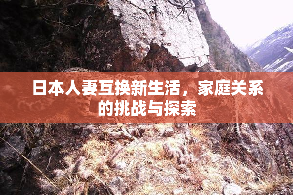 日本人妻互换新生活，家庭关系的挑战与探索