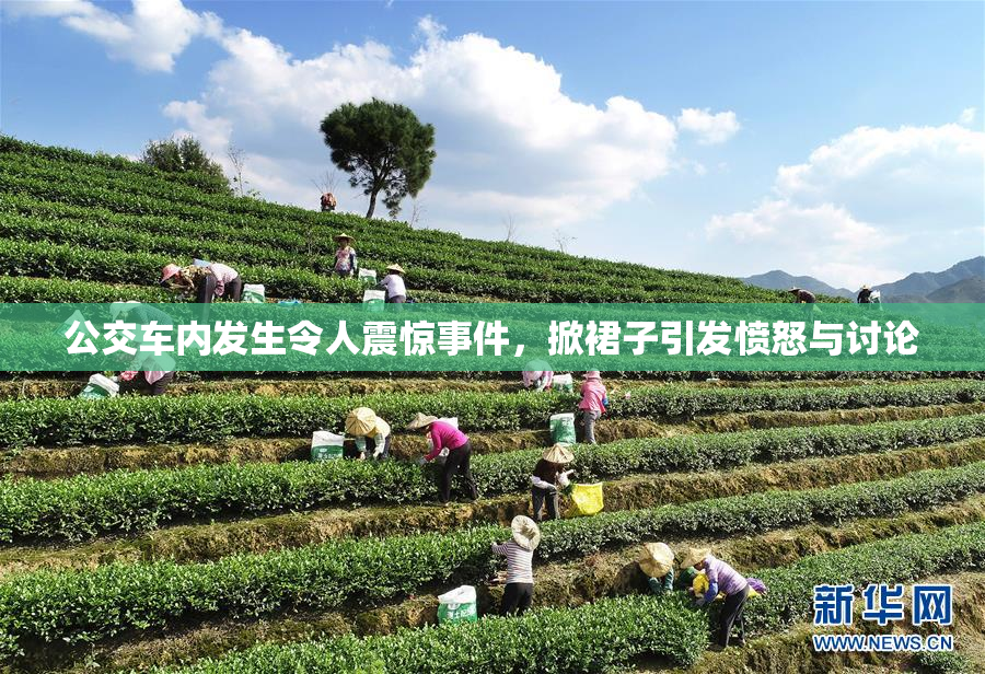公交车内发生令人震惊事件，掀裙子引发愤怒与讨论