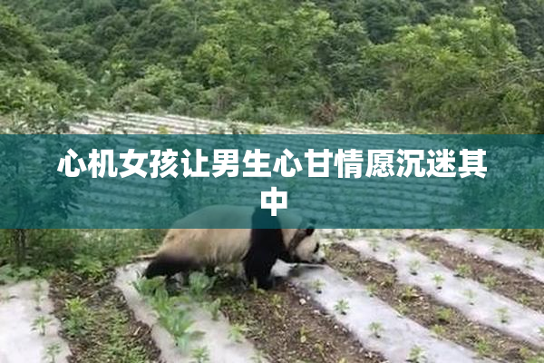 心机女孩让男生心甘情愿沉迷其中