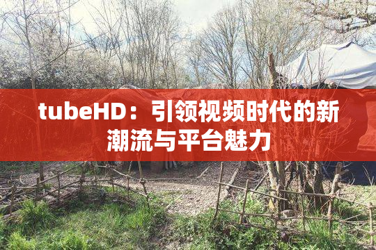 tubeHD：引领视频时代的新潮流与平台魅力