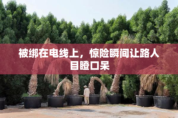 被绑在电线上，惊险瞬间让路人目瞪口呆
