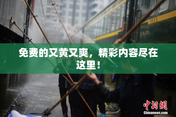 免费的又黄又爽，精彩内容尽在这里！