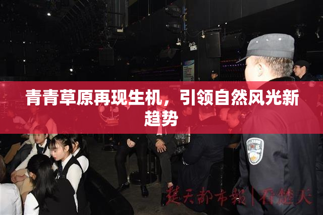 青青草原再现生机，引领自然风光新趋势