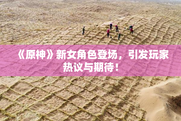 《原神》新女角色登场，引发玩家热议与期待！