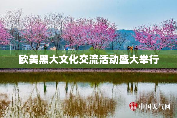 欧美黑大文化交流活动盛大举行