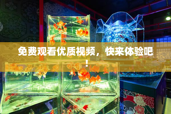 免费观看优质视频，快来体验吧！