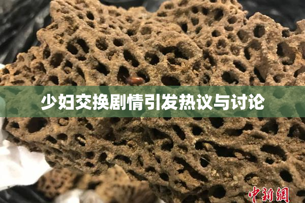 少妇交换剧情引发热议与讨论