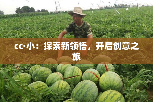 cc·小：探索新领悟，开启创意之旅
