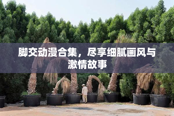 脚交动漫合集，尽享细腻画风与激情故事