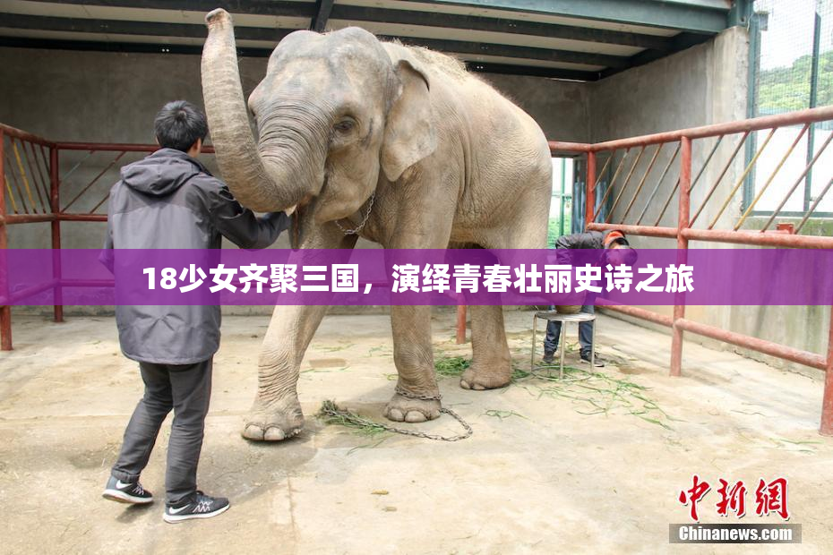 18少女齐聚三国，演绎青春壮丽史诗之旅