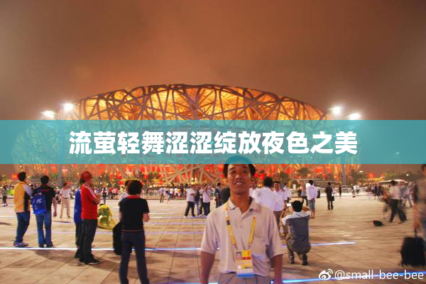 流萤轻舞涩涩绽放夜色之美