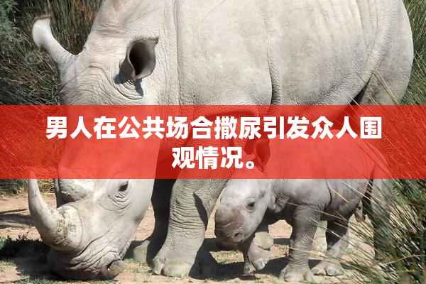 男人在公共场合撒尿引发众人围观情况。