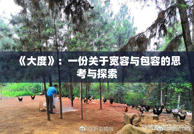 《大度》：一份关于宽容与包容的思考与探索