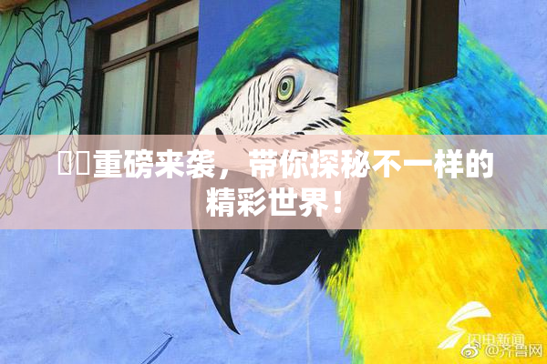 妺妺重磅来袭，带你探秘不一样的精彩世界！