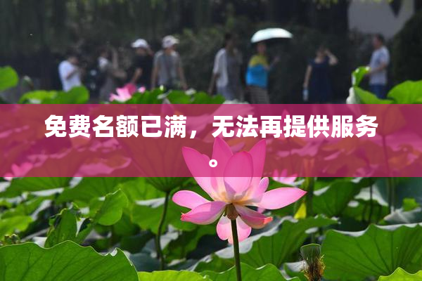 免费名额已满，无法再提供服务。