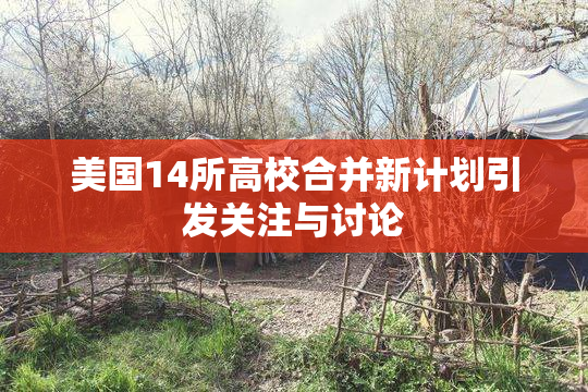 美国14所高校合并新计划引发关注与讨论