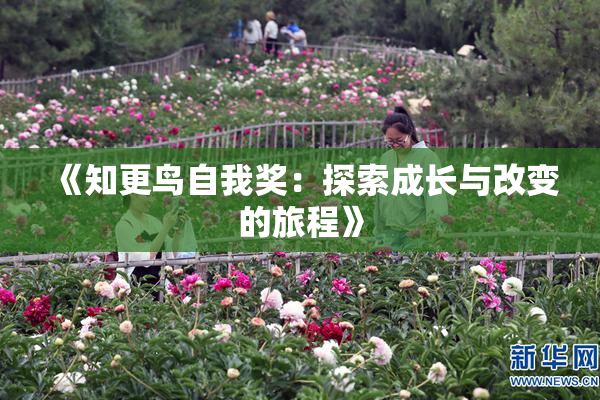 《知更鸟自我奖：探索成长与改变的旅程》