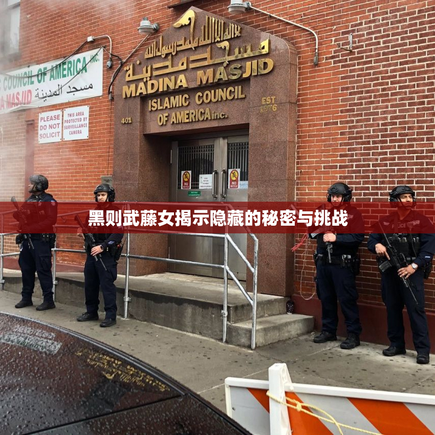 黑则武藤女揭示隐藏的秘密与挑战