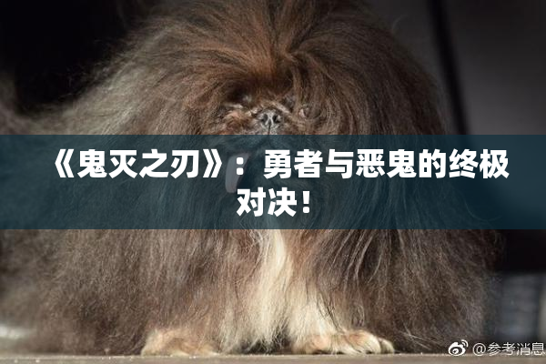 《鬼灭之刃》：勇者与恶鬼的终极对决！
