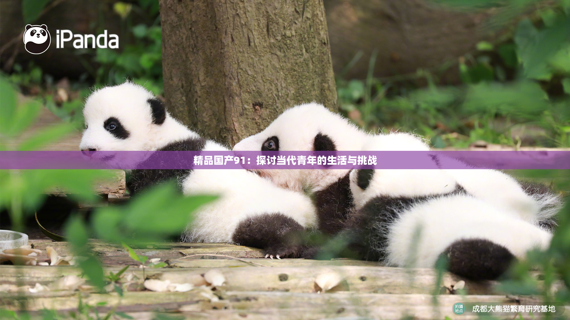 精品国产91：探讨当代青年的生活与挑战