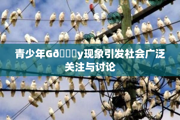 青少年G🈚y现象引发社会广泛关注与讨论