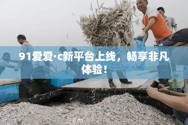 91爱爱·c新平台上线，畅享非凡体验！