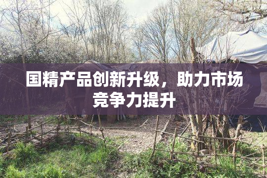 国精产品创新升级，助力市场竞争力提升