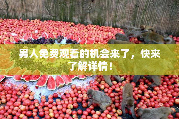 男人免费观看的机会来了，快来了解详情！