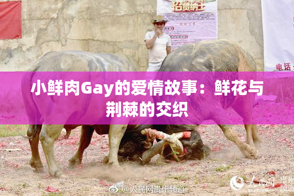 小鲜肉Gay的爱情故事：鲜花与荆棘的交织