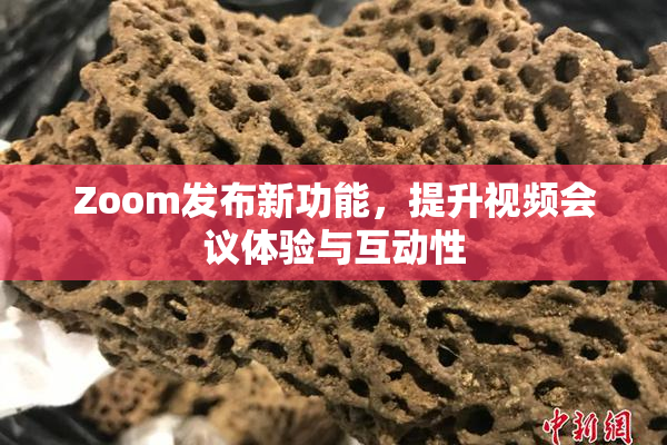 Zoom发布新功能，提升视频会议体验与互动性
