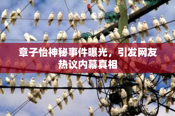 章子怡神秘事件曝光，引发网友热议内幕真相