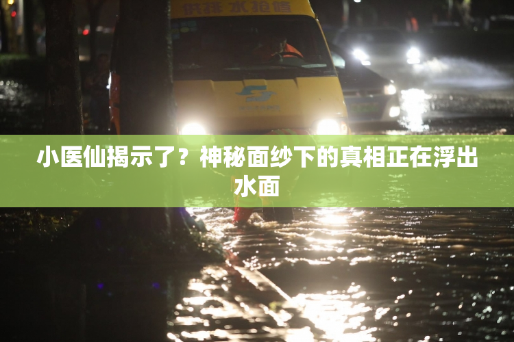 小医仙揭示了？神秘面纱下的真相正在浮出水面