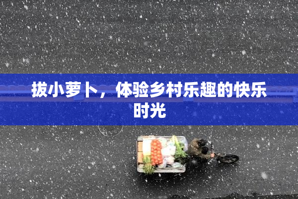 拔小萝卜，体验乡村乐趣的快乐时光