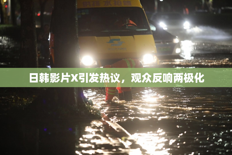 日韩影片X引发热议，观众反响两极化
