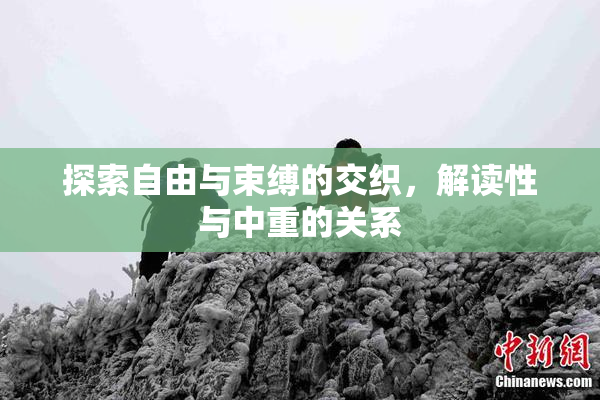 探索自由与束缚的交织，解读性与中重的关系
