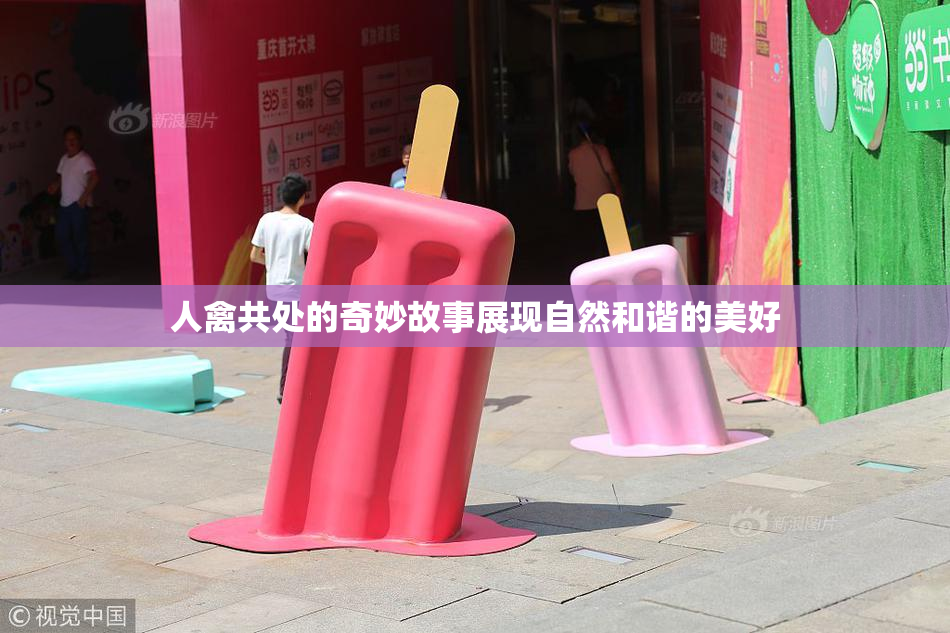 人禽共处的奇妙故事展现自然和谐的美好