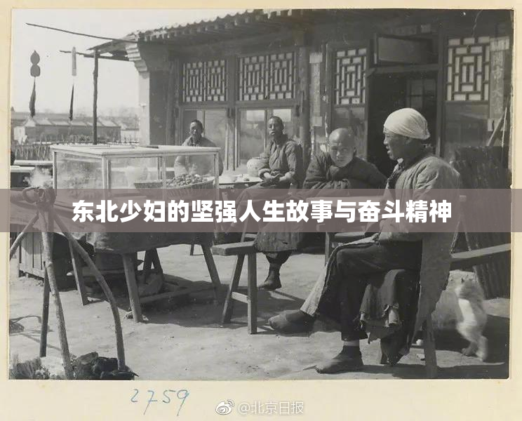 东北少妇的坚强人生故事与奋斗精神