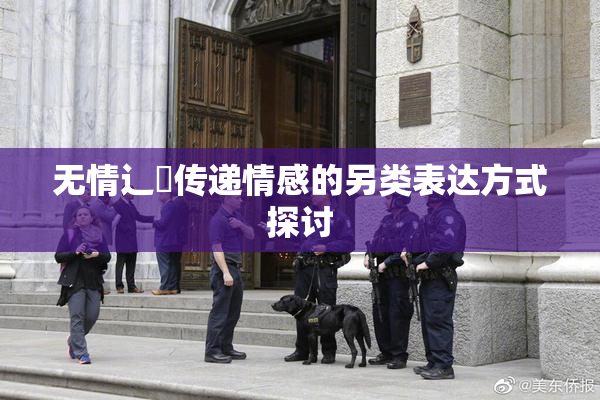无情辶喿传递情感的另类表达方式探讨