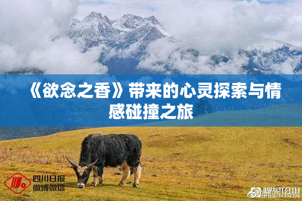 《欲念之香》带来的心灵探索与情感碰撞之旅