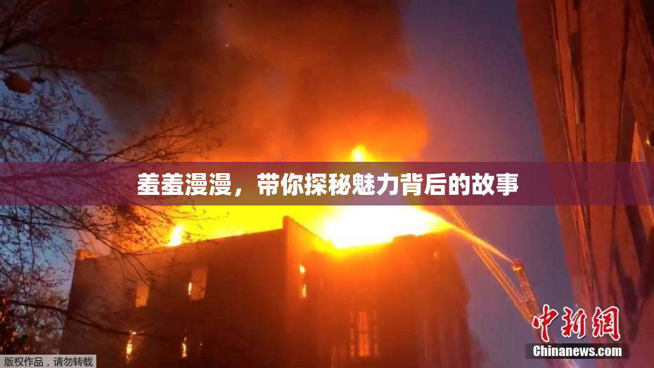 羞羞漫漫，带你探秘魅力背后的故事
