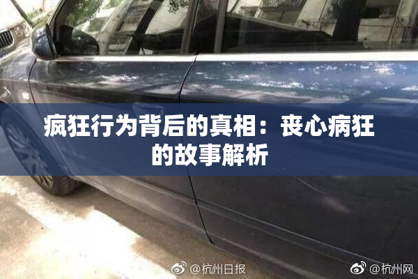 疯狂行为背后的真相：丧心病狂的故事解析