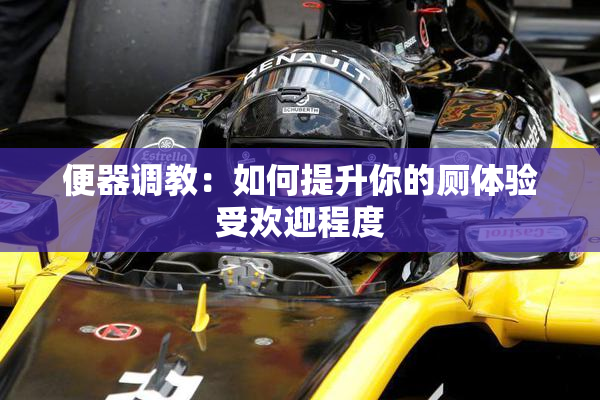 便器调教：如何提升你的厕体验受欢迎程度