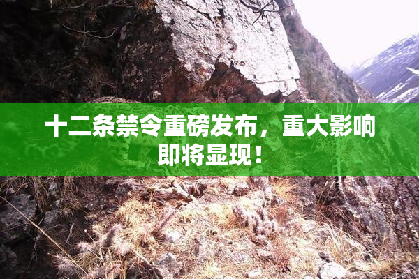 十二条禁令重磅发布，重大影响即将显现！