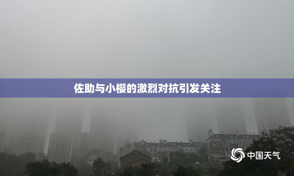 佐助与小樱的激烈对抗引发关注