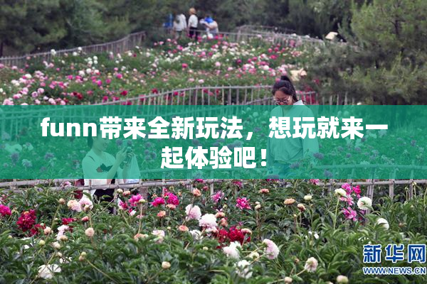 funn带来全新玩法，想玩就来一起体验吧！