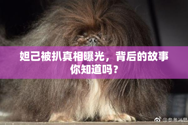 妲己被扒真相曝光，背后的故事你知道吗？