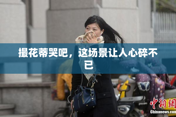 撮花蒂哭吧，这场景让人心碎不已